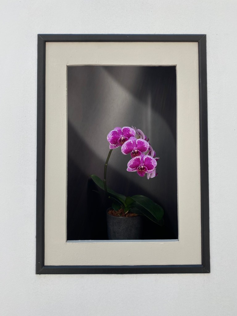 Marie Selby Botanical Garden